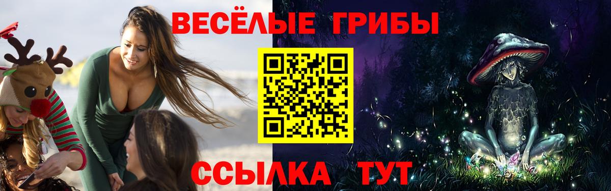 Галлюциногенные грибы мицелий Кинель