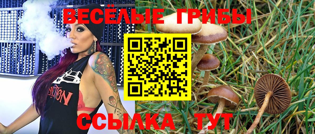Галлюциногенные грибы GOLDEN TEACHER  где купить   Кинель  Вход с VPN  Псилоцибиновые грибы ЛСД 